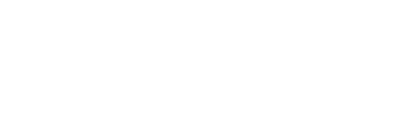 Profi